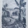 The Life and Adventure of Robinson Crusoe - Daniel De Foe - Image 2