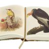 Charles Darwin - On The Origin Of Species - Image 8