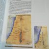 The New Illiustrated Companion to the Bible - J.R. Potter - Image 2