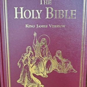 The Holy Bible KJV with the engraving of Gustave Dore'