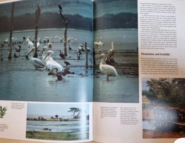 IN SEARCH OF AFRICA - Image 4